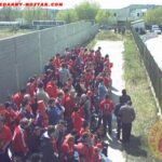 brovelez02-03_6