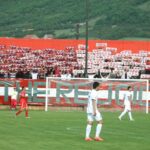 velzeljo1415_007