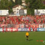 zeljvelez06-07_31